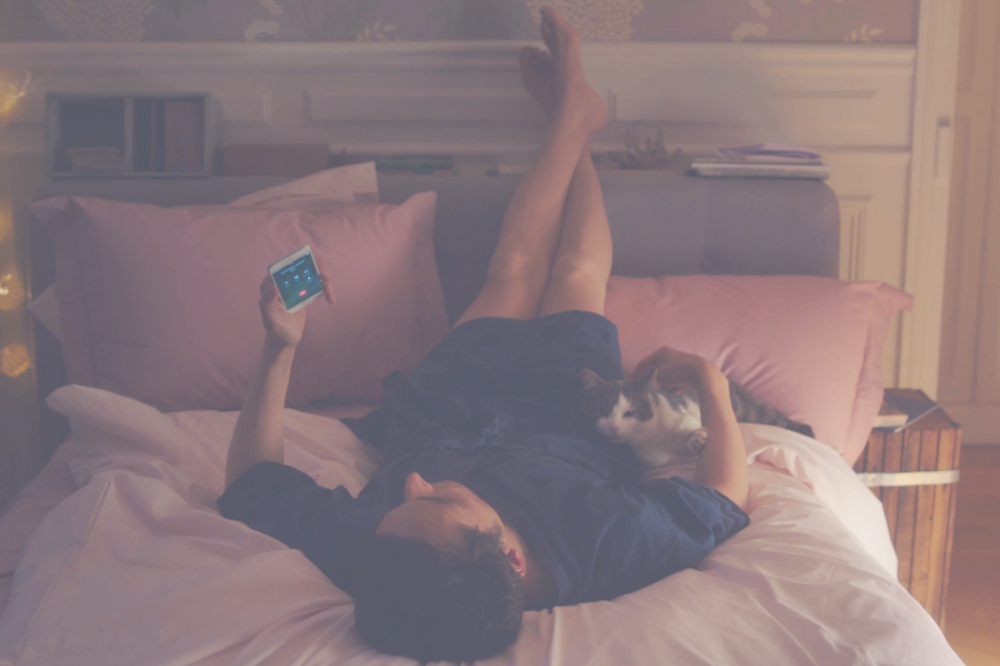Homem na cama com celular e gato